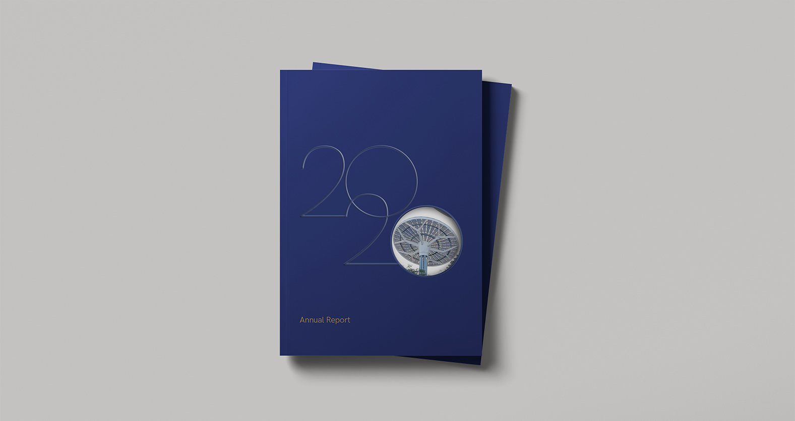 Annual Report 2020