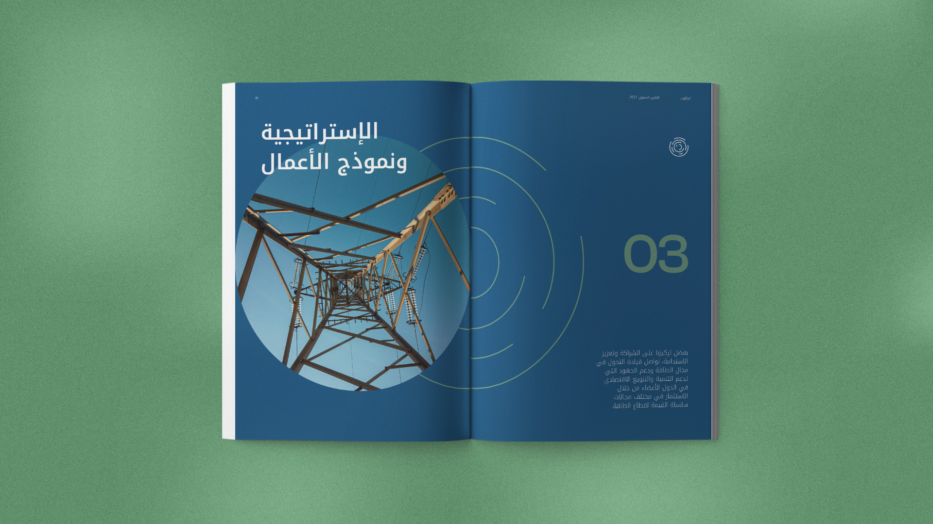 Financial Institute Annual Report 2021